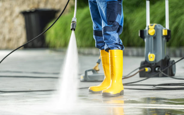 Best Roof Power Washing Services  in Rineyville, KY