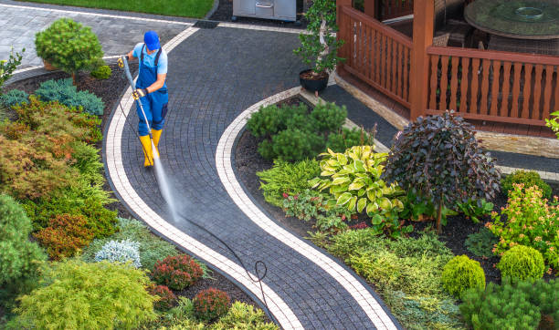 Best Roof Pressure Washing  in Rineyville, KY